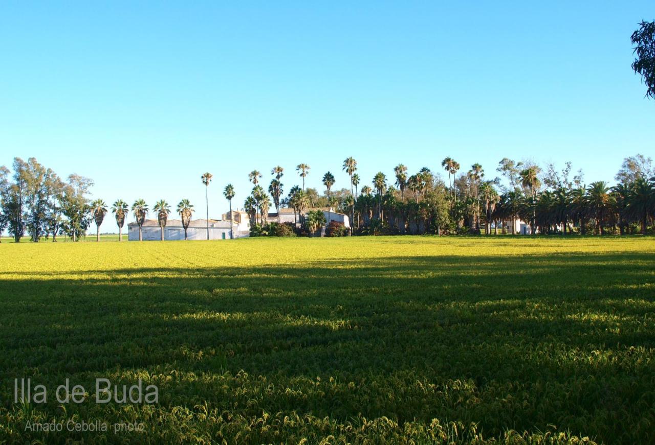 דלטברה Villa Paquita Loft מראה חיצוני תמונה